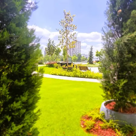 Landan Planet - Free Parking